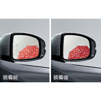 door mirror